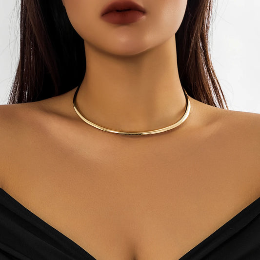 Chunky Circle Torque Necklac